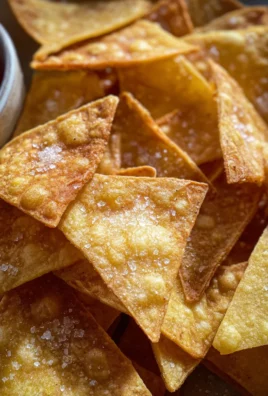 Homemade Tortilla Chips