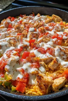 Queso Salsa Chicken & Rice